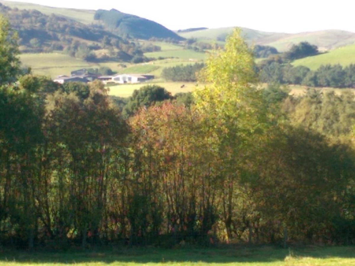 Pant Glas Barn Llanbrynmair Kültér fotó