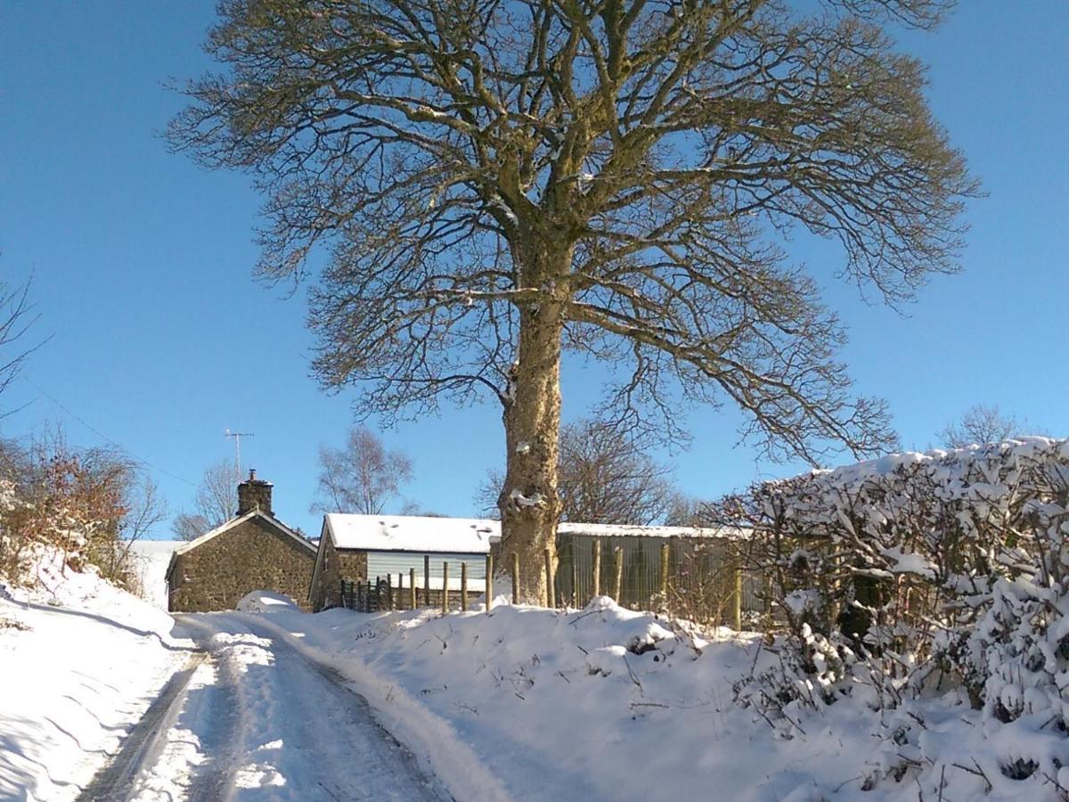 Pant Glas Barn Llanbrynmair Kültér fotó