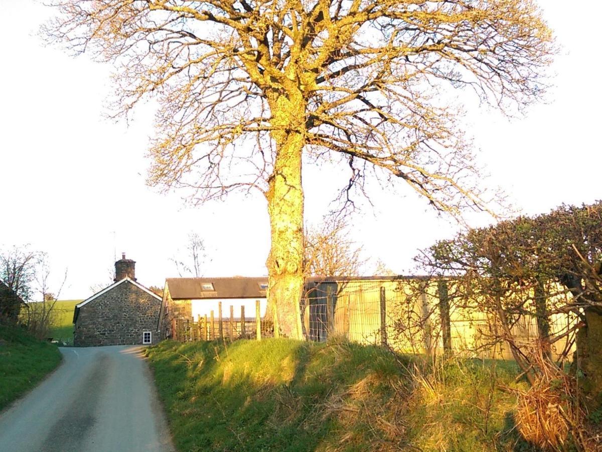Pant Glas Barn Llanbrynmair Kültér fotó